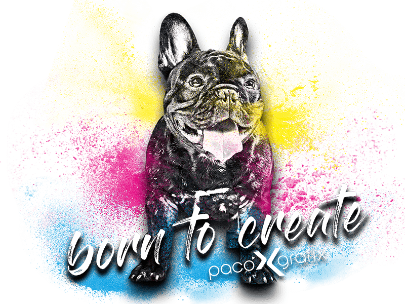 paco grafix - born to create